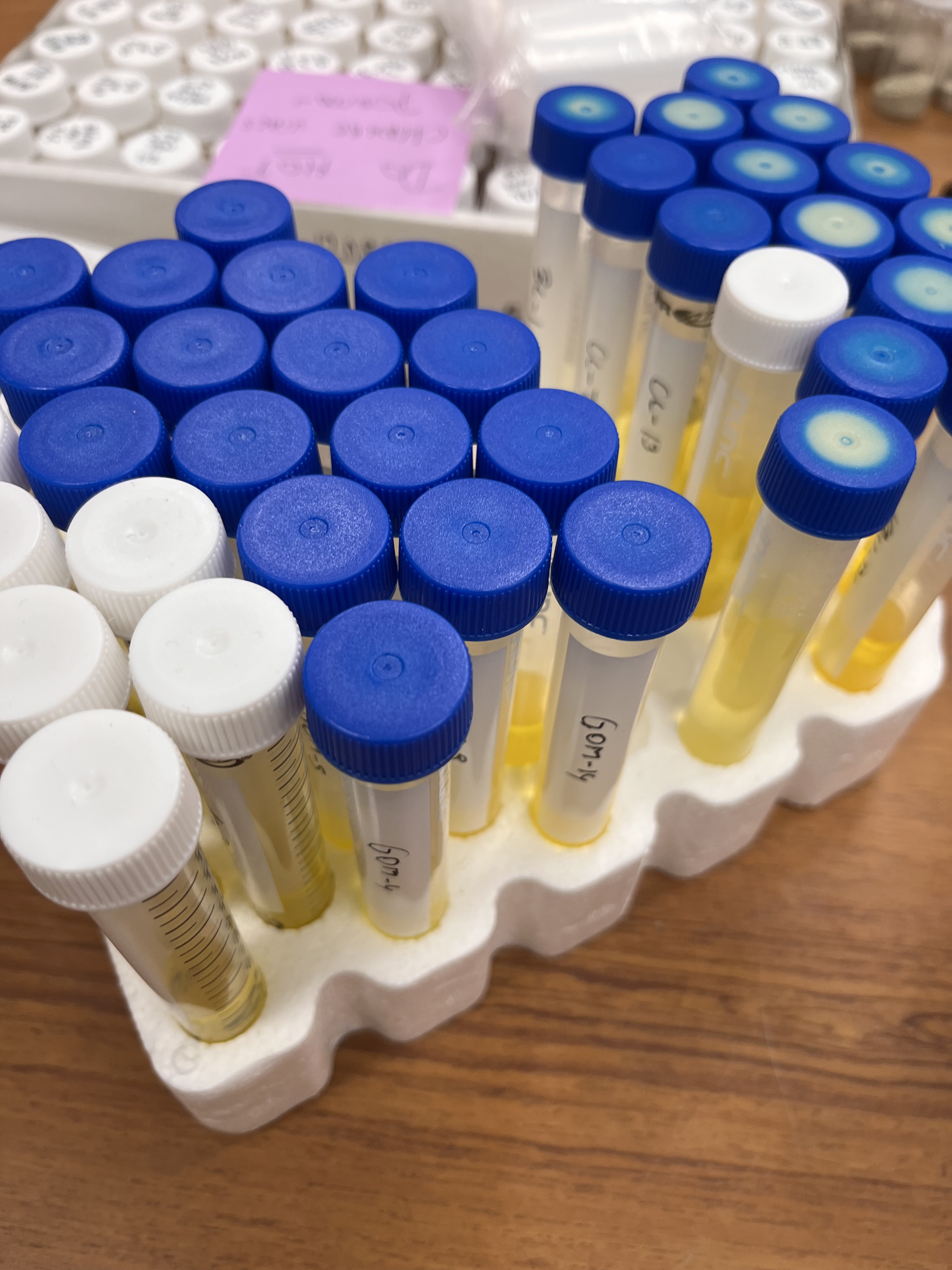 C-tubes